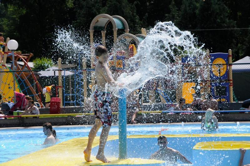 Vakantiepark Wilhelm Tell Superieur Chalet Opglabbeek المظهر الخارجي الصورة