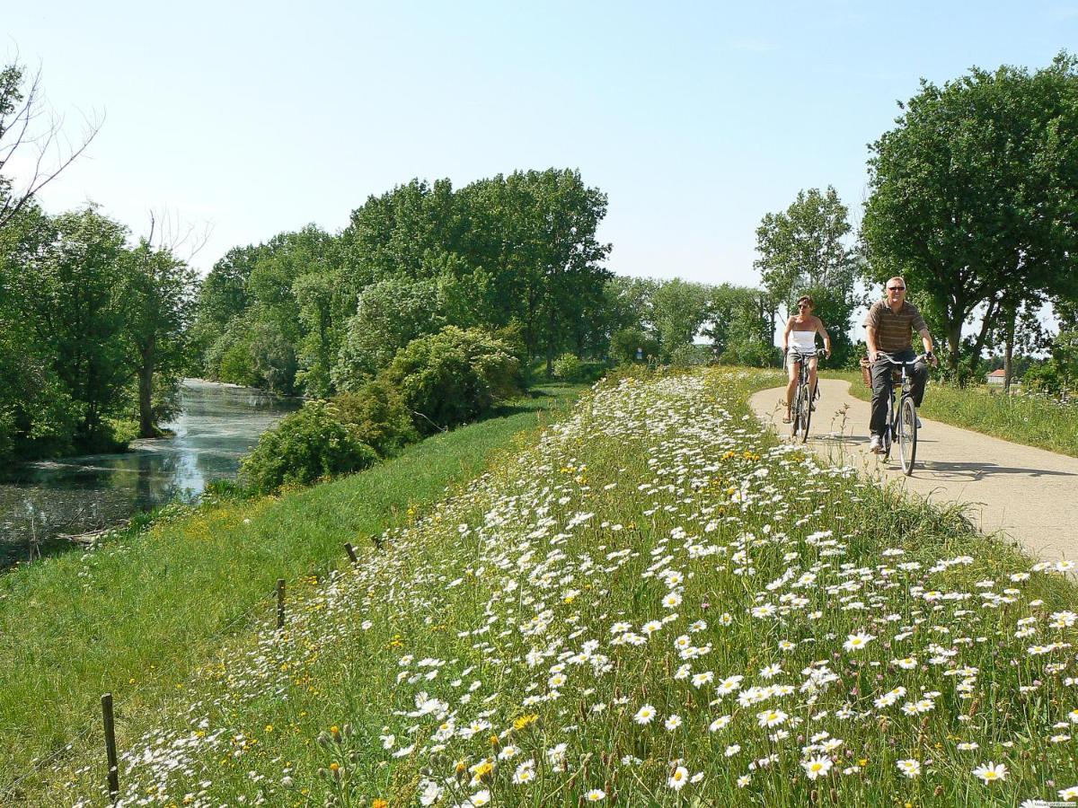 Vakantiepark Wilhelm Tell Superieur Chalet Opglabbeek المظهر الخارجي الصورة